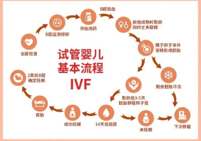 试管婴儿的全部流程