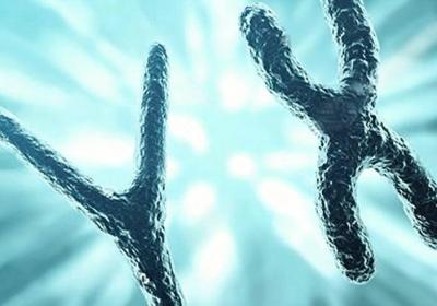 我想做试管生一个男宝宝多少钱？附2026年完整价格清单