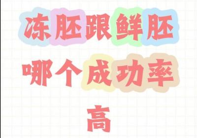 供卵试管选鲜胚还是冻胚成功率更高？鲜胚和冻胚成功率全面解析