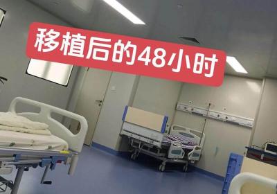 试管移植后的黄金48小时注意事项：做好这几点更安心
