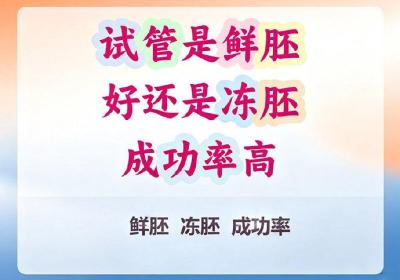 冻胚和鲜胚哪个成功率比较高？试管婴儿移植怎么选更合适