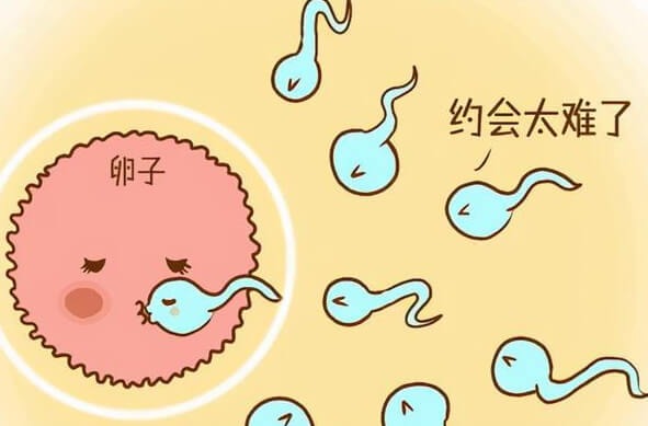 不孕不育可以做试管吗