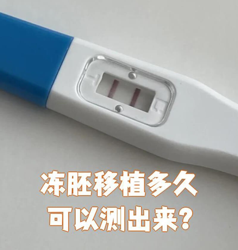 试管移植成功后多久验孕