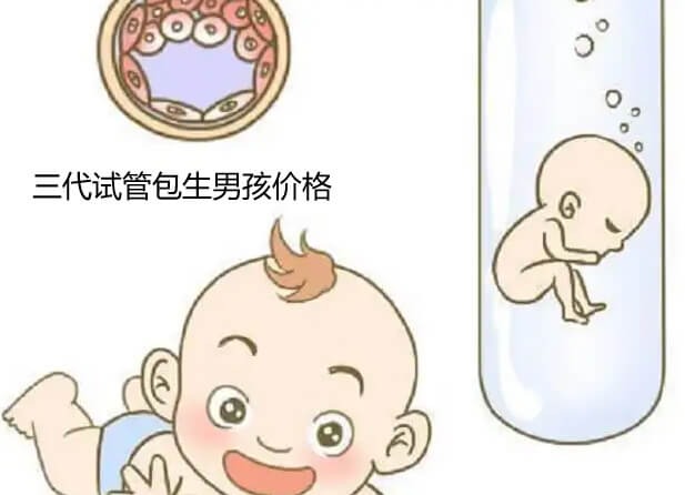 第三代试管包生男孩多少费用