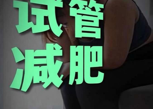 肥胖会影响试管婴儿成功率吗