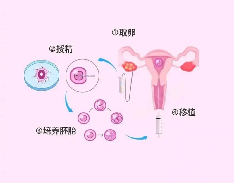 三代试管一次成功率高吗