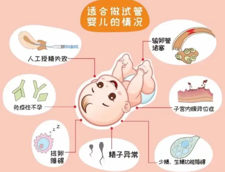 试管婴儿是什么意思