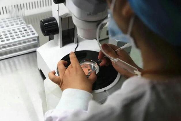 优孕制定个性化生育解决方案