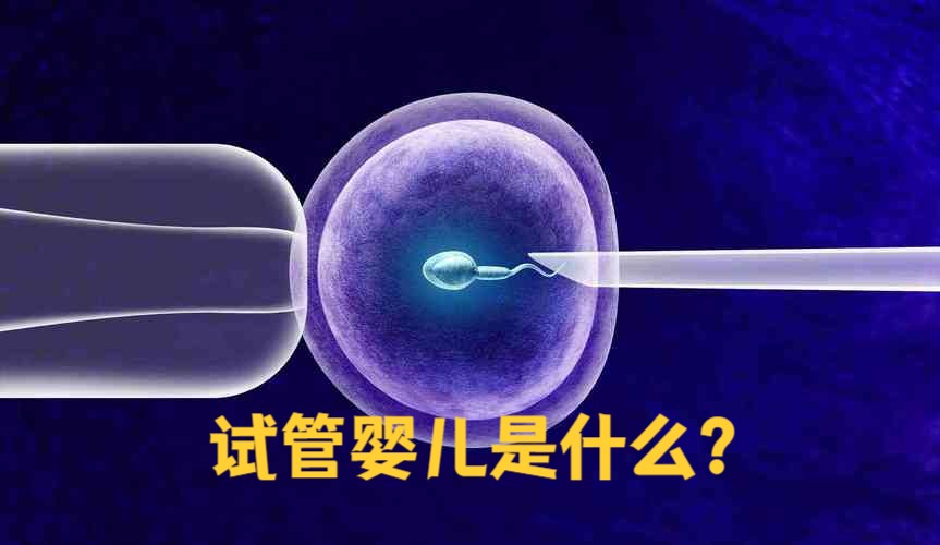 试管婴儿是什么