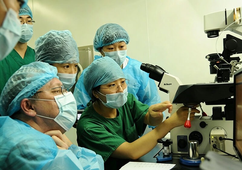 哪个医院试管包成功