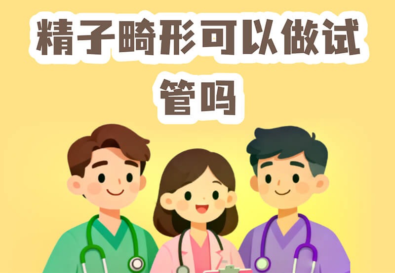 精子畸形率高能试管吗