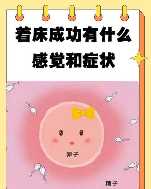 成功着床后有什么感觉