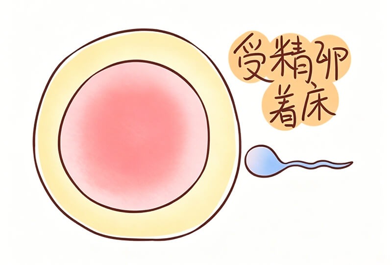 着床成功的感受如何