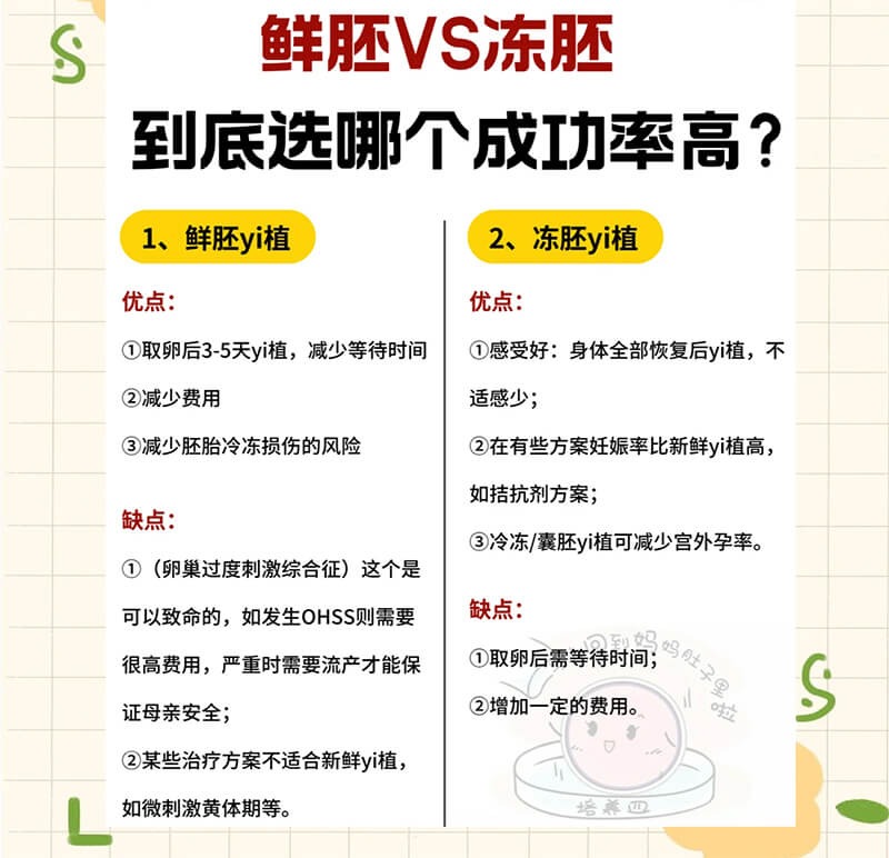 做供卵试管选鲜胚还是冻胚成功率更高
