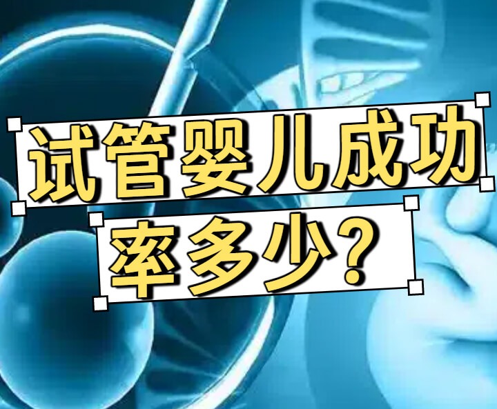 国内试管婴儿成功率