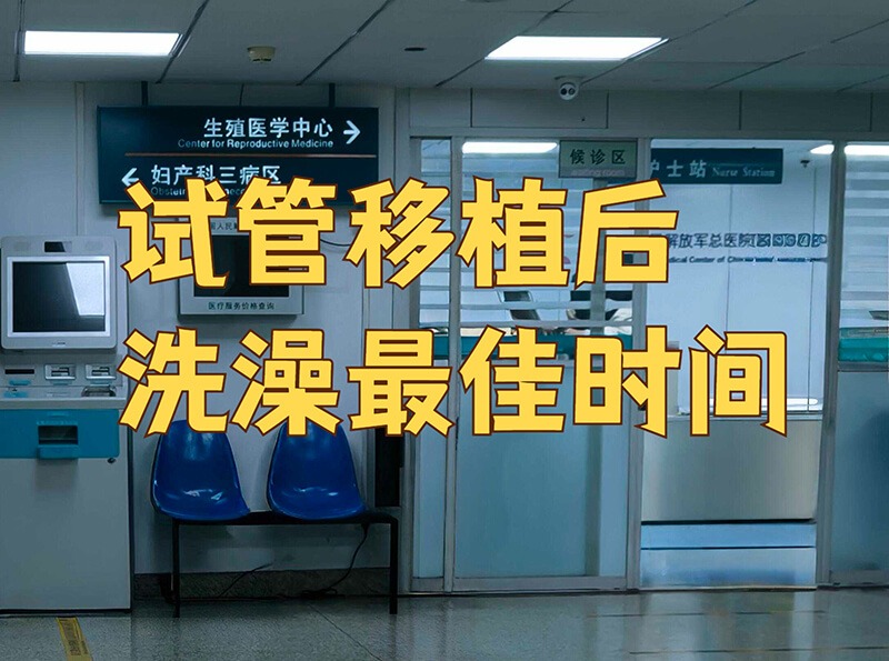 试管移植后的黄金48小时
