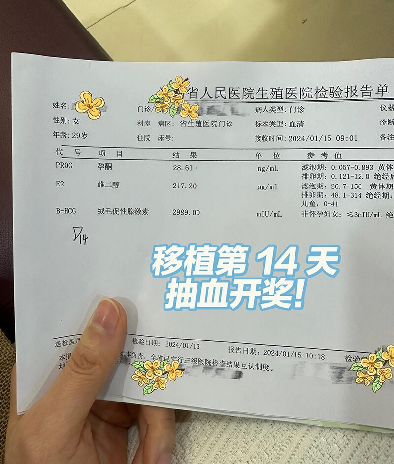 试管移植后的黄金48小时