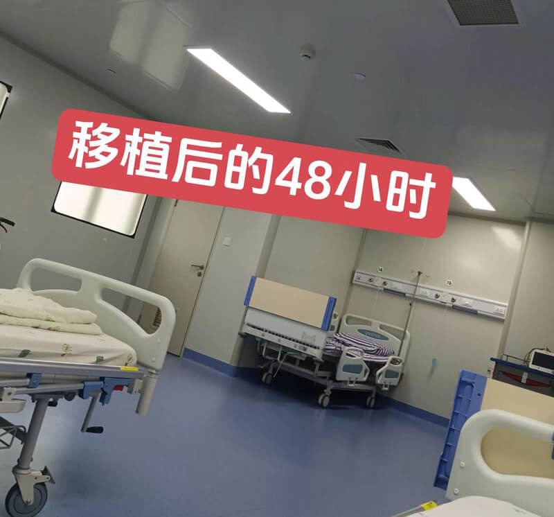 试管移植后48小时