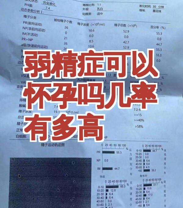 男性弱精试管成功率有多大